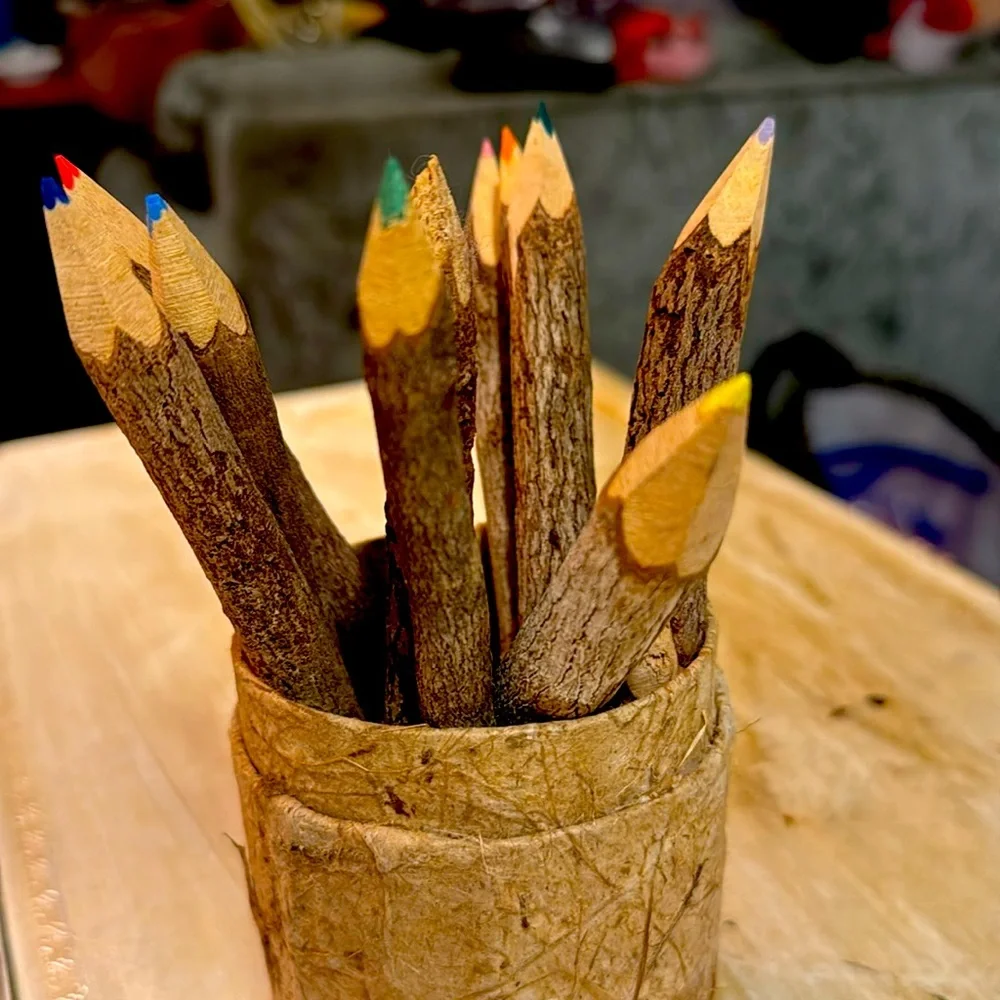 Ten colored tree branch pencils with holder